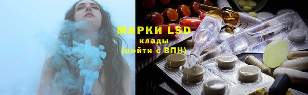 мдпв Анива