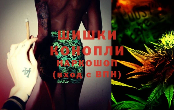 молекула духа Абинск
