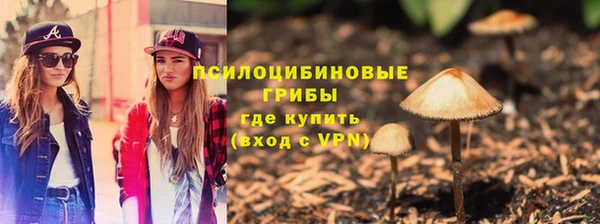 дурь Абдулино