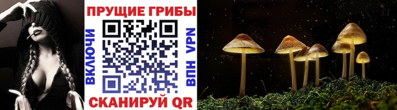 Галлюциногенные грибы ЛСД  Ивангород 
